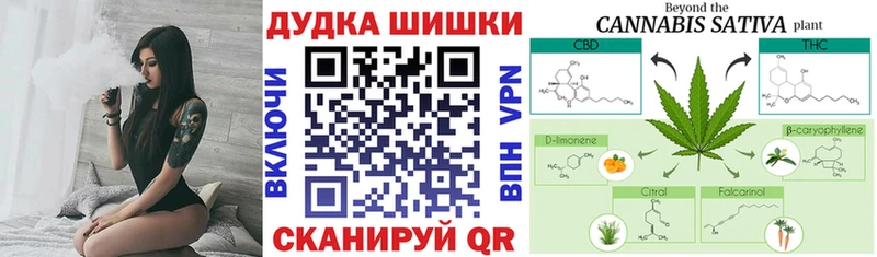 Канабис OG Kush  Ершов 